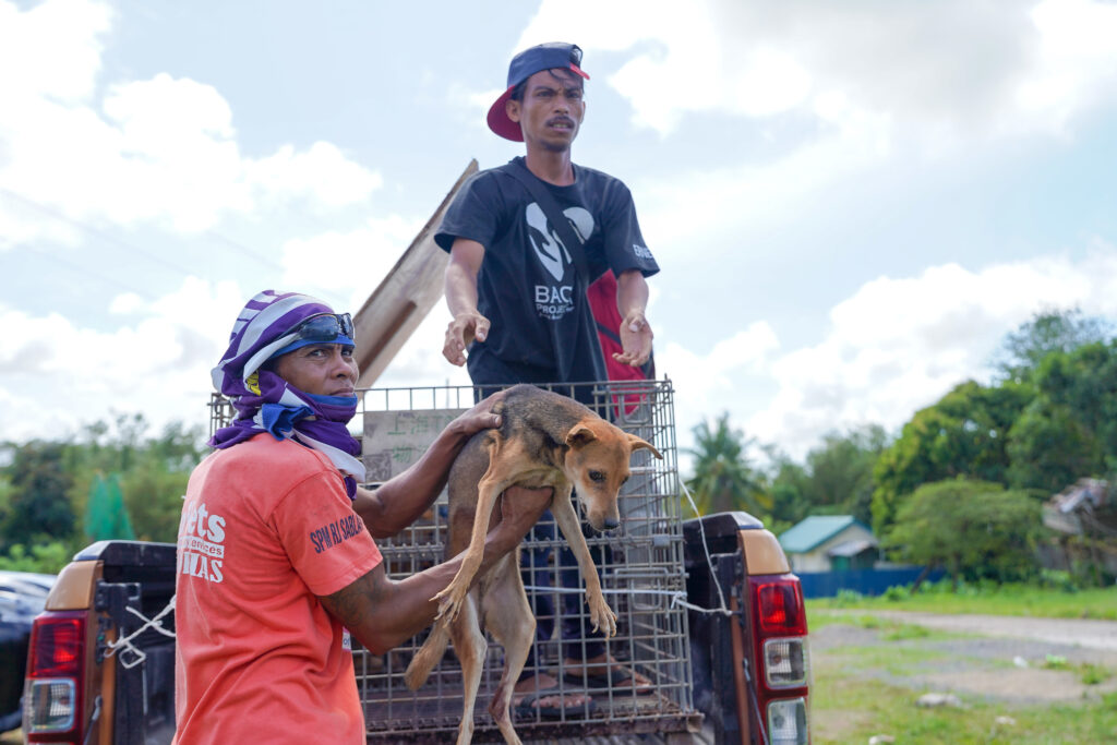  adoption of 20 impounded dogs from the Bacolod City Dog Pound to the Victorias City Dog Shelter
