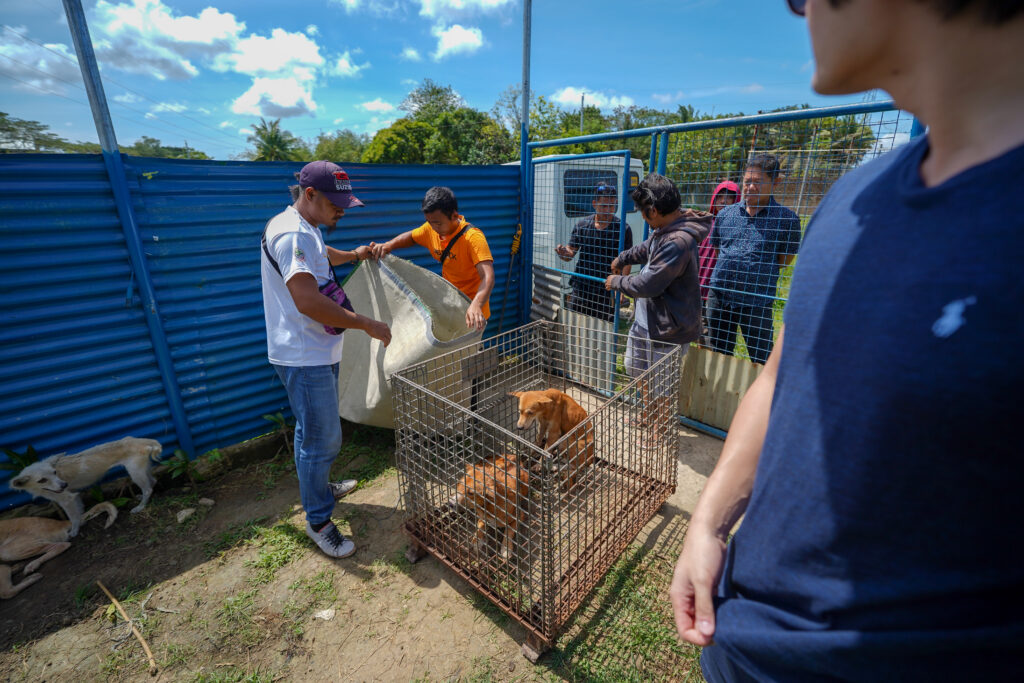 adoption of 20 impounded dogs from the Bacolod City Dog Pound to the Victorias City Dog Shelter